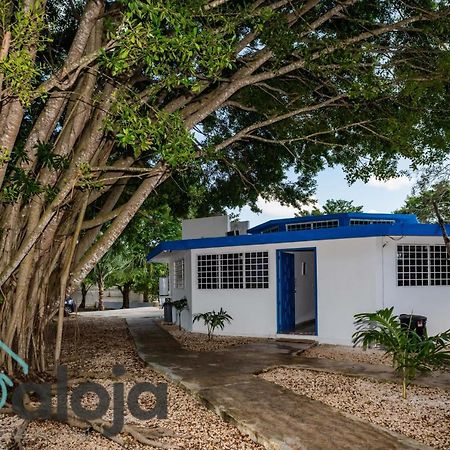 Villa Xtohil With Private Access To The Magic 7 Colors Lagoon Bacalar Zewnętrze zdjęcie