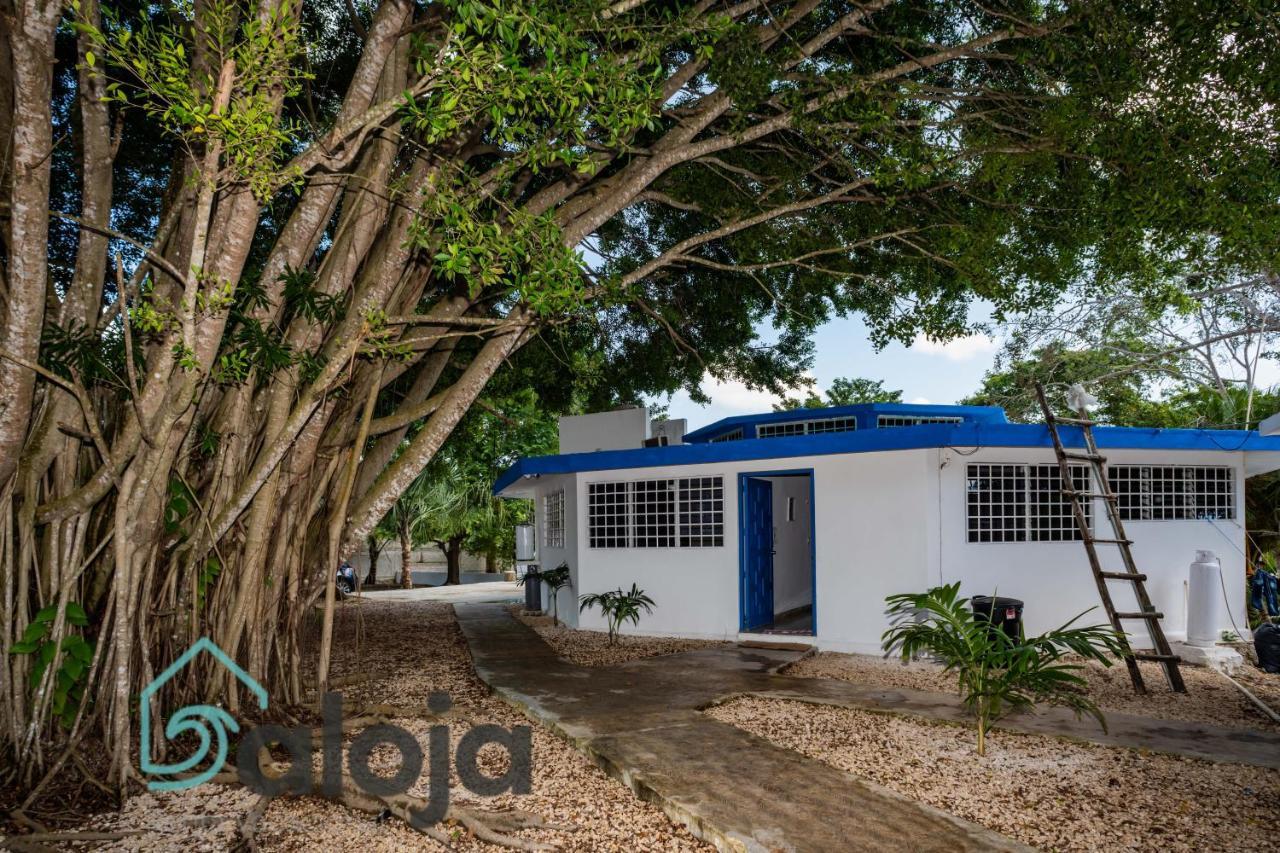 Villa Xtohil With Private Access To The Magic 7 Colors Lagoon Bacalar Zewnętrze zdjęcie