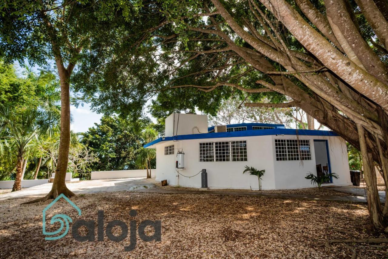 Villa Xtohil With Private Access To The Magic 7 Colors Lagoon Bacalar Zewnętrze zdjęcie